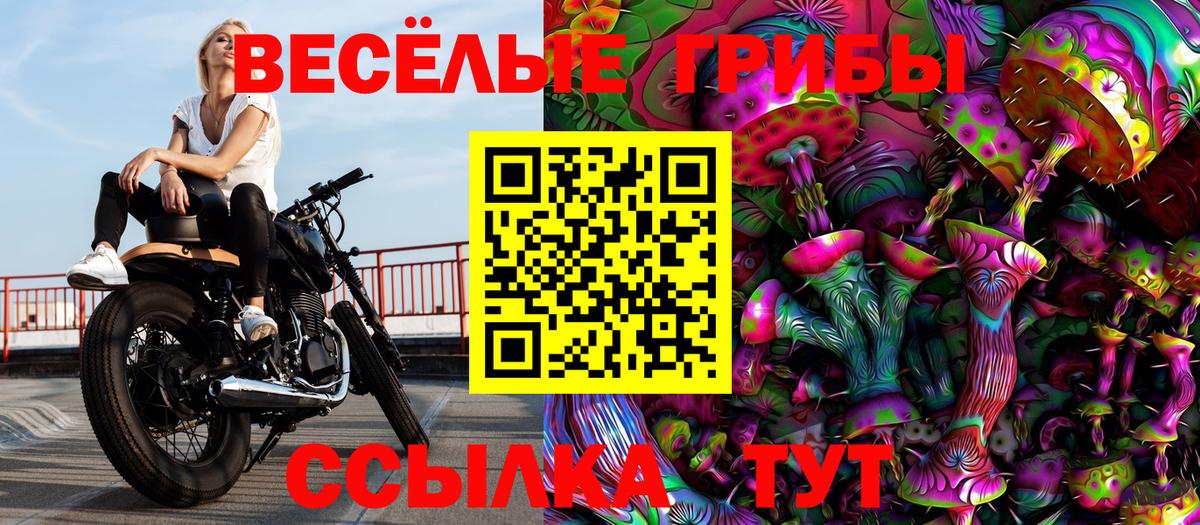 Сланцы  Гашиш  КОКАИН  LSD-25  Вход с VPN  МАРИХУАНА  Меф МЯУ МЯУ   КЕТАМИН 