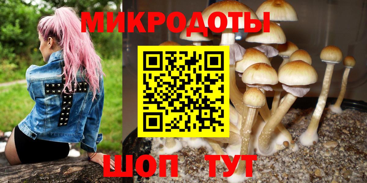 Галлюциногенные грибы мицелий  Вход с VPN  Сланцы 